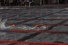 Enlarge photo 263