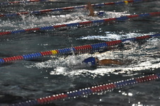 Enlarge photo 265