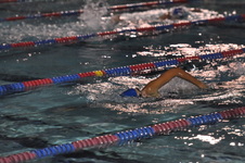Enlarge photo 266