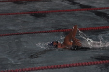 Enlarge photo 269