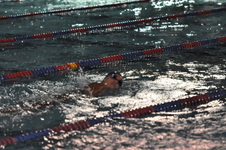 Enlarge photo 270
