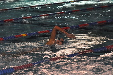 Enlarge photo 272