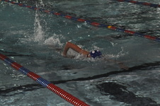 Enlarge photo 274