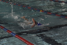 Enlarge photo 275