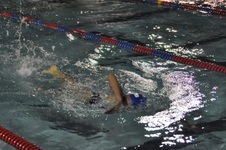 Enlarge photo 276