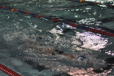 Enlarge photo 277