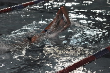 Enlarge photo 278
