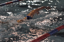 Enlarge photo 279