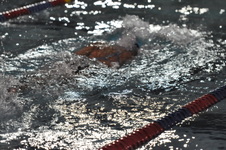 Enlarge photo 280