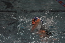 Enlarge photo 281