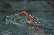 Enlarge photo 282