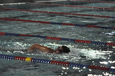 Enlarge photo 293