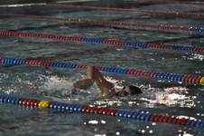 Enlarge photo 294