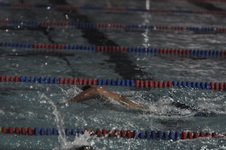 Enlarge photo 296