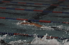 Enlarge photo 302
