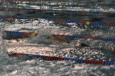 Enlarge photo 305