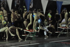 Enlarge photo 313
