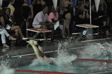 Enlarge photo 316