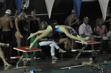 Enlarge photo 318