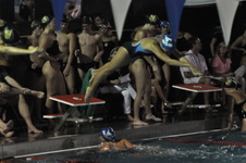 Enlarge photo 324