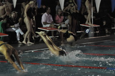 Enlarge photo 326