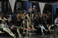 Enlarge photo 328