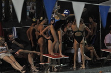 Enlarge photo 329
