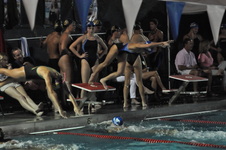 Enlarge photo 330