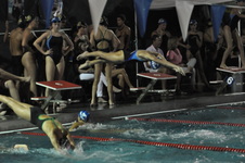 Enlarge photo 331