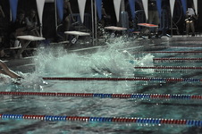 Enlarge photo 340
