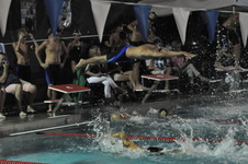 Enlarge photo 346