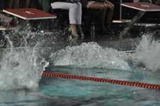 Enlarge photo 372