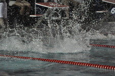Enlarge photo 373