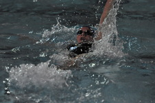 Enlarge photo 377