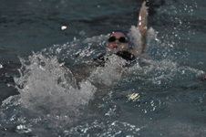 Enlarge photo 378