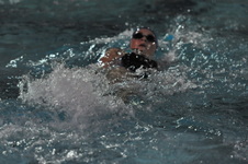 Enlarge photo 379
