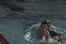 Enlarge photo 380