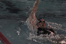 Enlarge photo 381