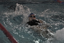 Enlarge photo 383