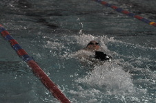 Enlarge photo 387