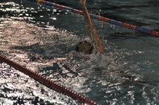 Enlarge photo 388