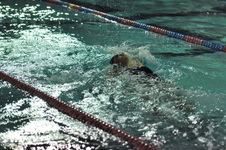 Enlarge photo 389