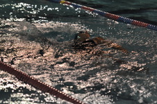 Enlarge photo 390
