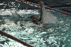Enlarge photo 391