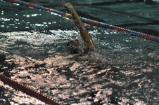 Enlarge photo 392