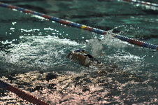 Enlarge photo 394