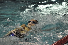 Enlarge photo 395