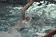 Enlarge photo 396