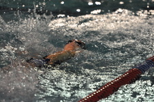 Enlarge photo 397