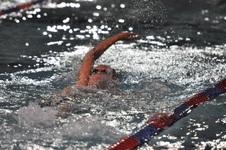 Enlarge photo 398